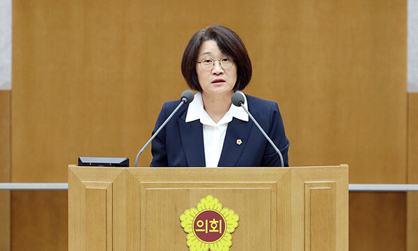 신미숙 경기도의회 의원