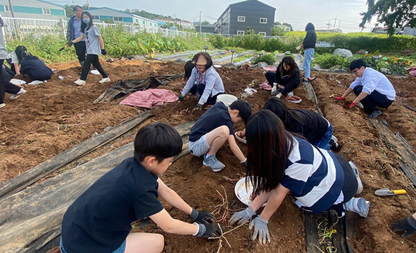 정림초, 생태전환교육활동 수익금 사회복지공동모금에 기부